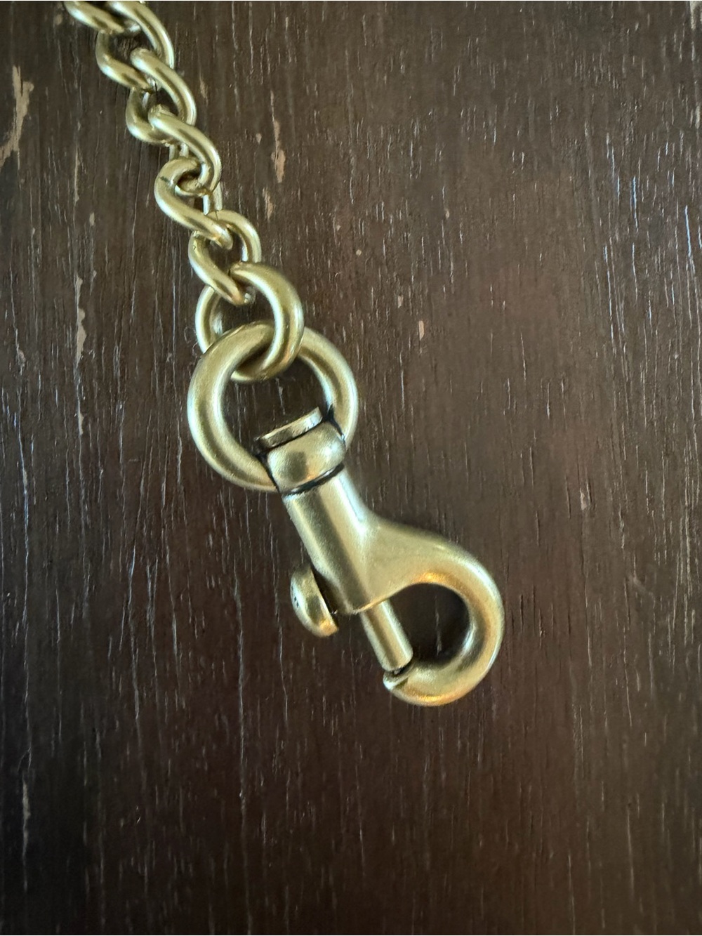Coach Gold Chain Strap with Charms - Picture 5 of 7